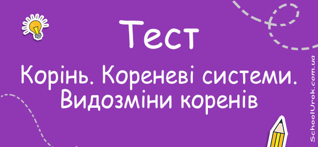 Корінь. Кореневі системи. Видозміни коренів