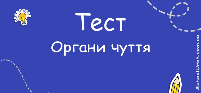 Органи чуття