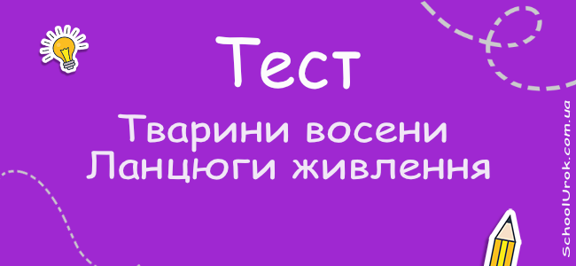 Тварини восени. Ланцюги живлення.